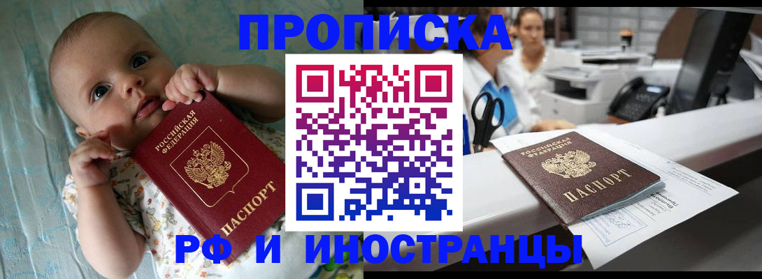 прописка поиск в Тынде